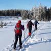 Langlauf im Böhmerwald